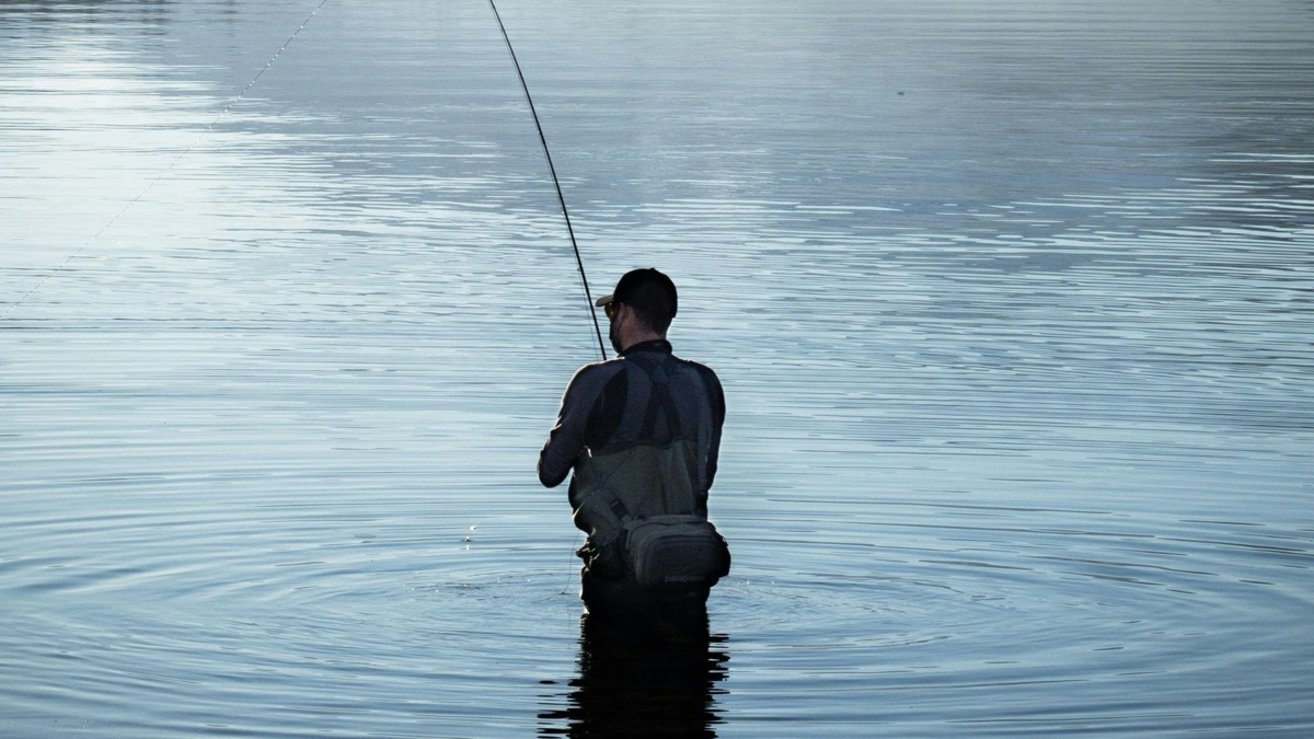 5 Fish You Can Bring Home For Dinner At Your Local Lake
