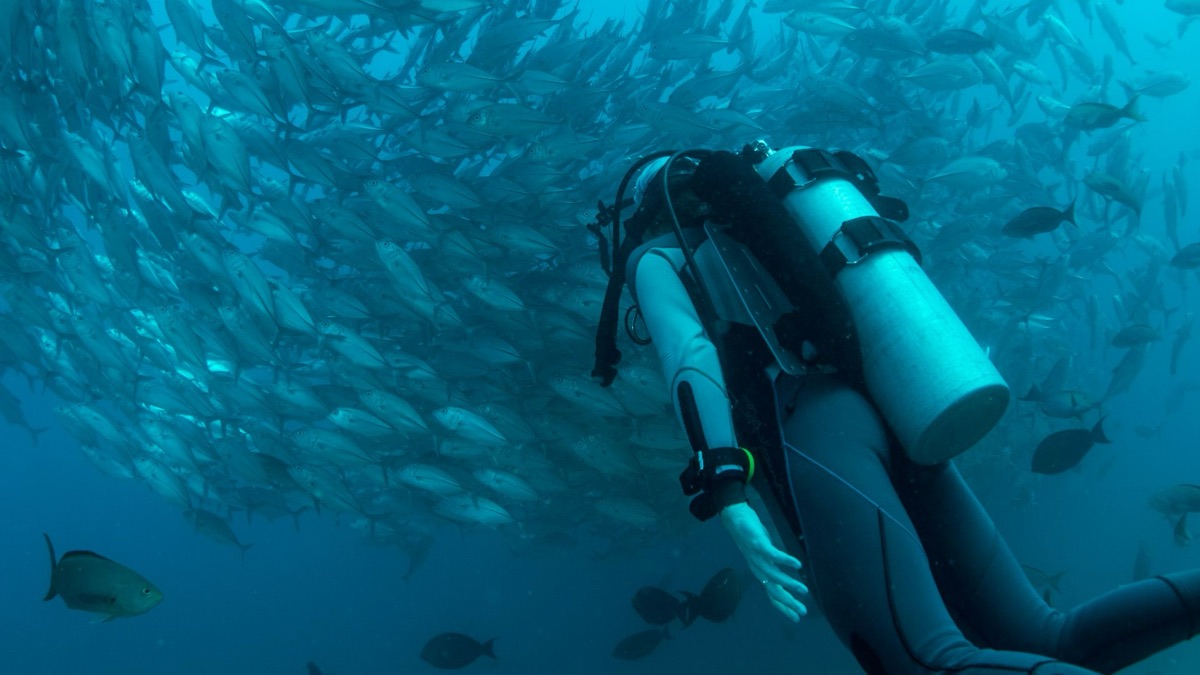 5 Incredible Things About Deep-Sea Diving