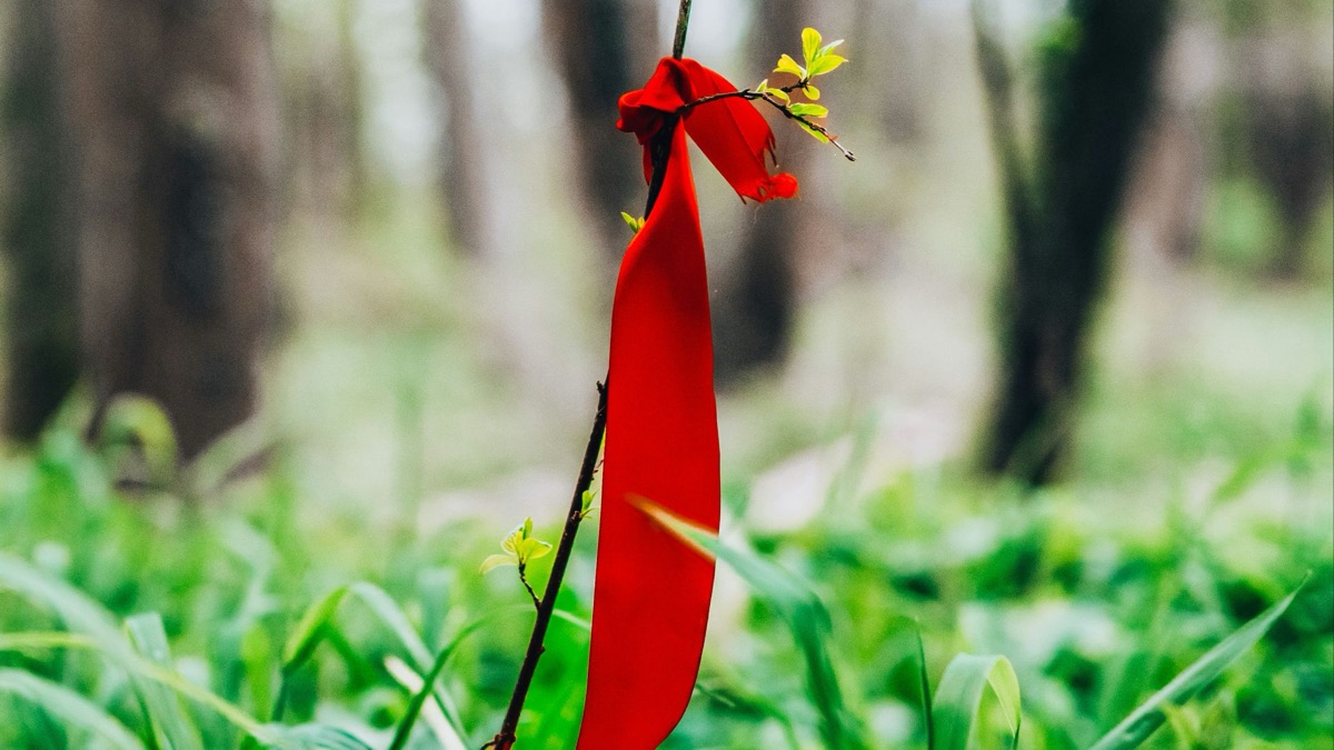 5 Life-Saving Tips If You Get Lost While Hiking