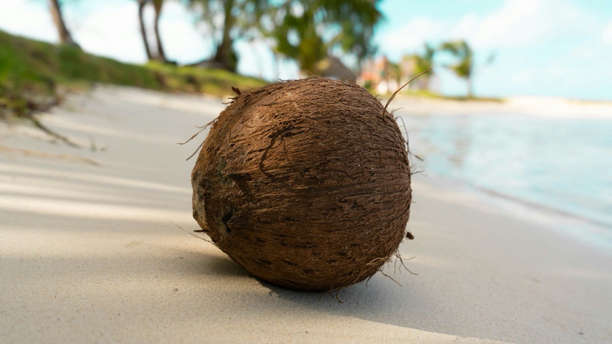 5 Realistic Things You Should Do If You Ever Get Stranded On An Island
