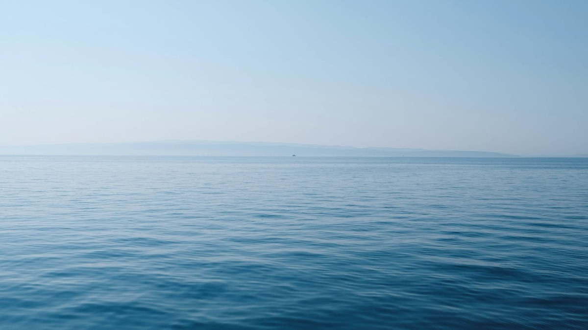 The 5 Weirdest Creatures Spotted in the Ocean