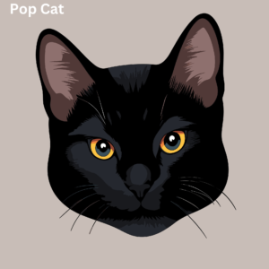 pop cat
